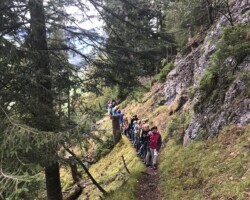 Trocken und mit schöner Aussicht wanderten wir hoch über Zweisimmen. hoch über Zweisimmen…? Ja! Unser Wanderleiter verpasste auf 1’039 M.ü.M. die Abzweigung, so dass uns ein Aufstieg auf 1’167 M.ü.M. bevorstand.