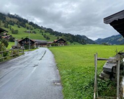 Glücklicherweise kam dieser auch während der ganzen Wanderung nicht mehr zurück.