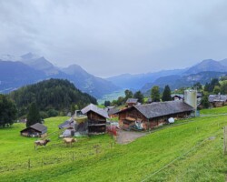 Das Wetter war vielleicht nicht ganz optimal...