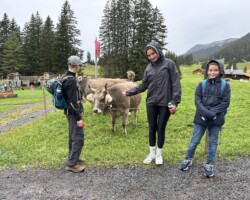 Oben werden wir von den tierischen Einwohnern begrüsst