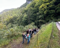 Geht es über Stock und Stein auf ein gemütlicher Rundgang